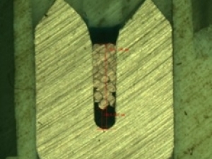 qa2